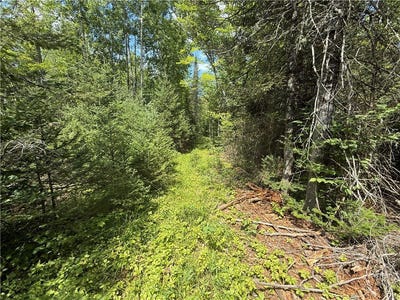 /international/us/00-county-road-l-lake-nebagamon-wi-110101259383/?lang=zh-tw