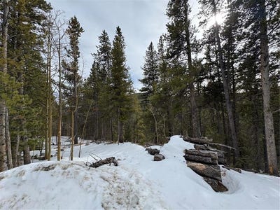 /international/us/649-vista-road-idaho-springs-co-110097317921/