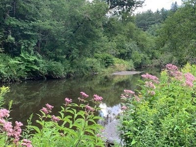 /international/us/barnard-road-woodstock-vt-110120559404/