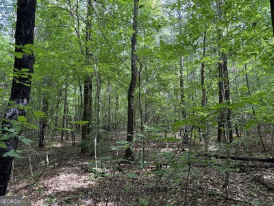 /international/us/8-acres-us-highway-80-roberta-ga-110100148137/?lang=zh-cn
