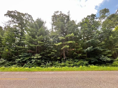 /international/us/vl-sikkenga-road-montague-mi-110101102243/
