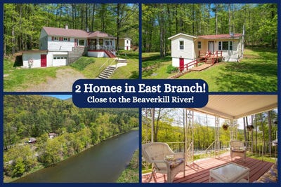 /international/us/10313-county-highway-17-east-branch-ny-110099539284/