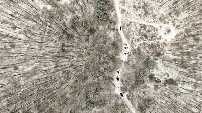 /international/us/7576-wells-adams-road-norton-va-110099993494/
