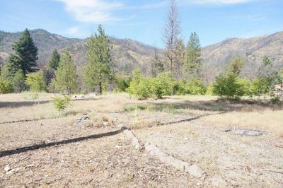 /international/us/101-river-acres-drive-junction-city-ca-110095726103/