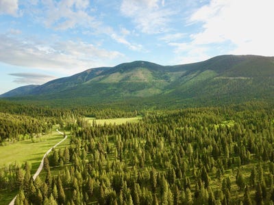 /international/us/0-patterson-prairie-road-helmville-mt-110100246399/