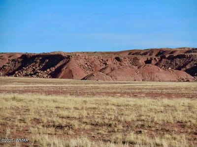 /international/us/15-co-rd-n7284-40-acres-chambers-az-110100878234/
