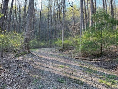 /international/us/n-ledge-trail-fancy-gap-va-110086397397/