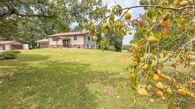 /international/us/490-highway-95-mountain-grove-mo-110107965533/