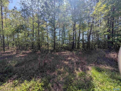 /international/us/11-paradise-avenue-gadsden-al-110107381559/