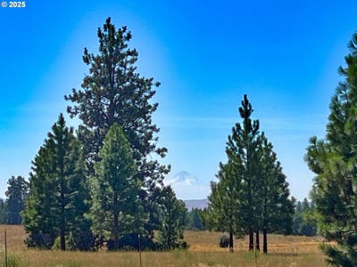 /international/us/9-haven-ct-goldendale-wa-110101358936/?lang=zh-tw