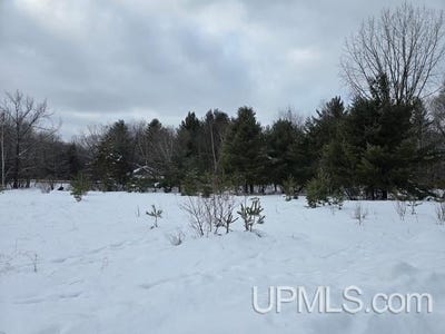 /international/us/fumee-lake-drive-lot-7-8-iron-mountain-mi-110104781210/