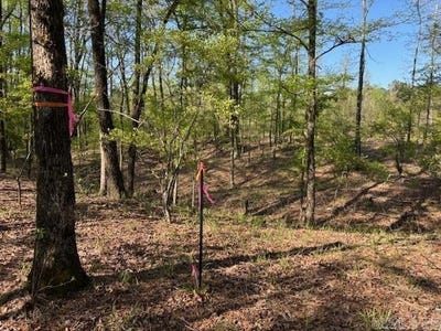 /international/us/0-grant-county-rd-291020-prattsville-ar-110100974477/