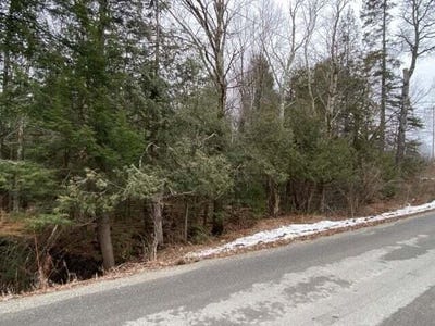 /international/us/dogtown-road-lot-3-detroit-me-110105092215/
