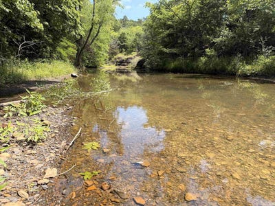 /international/us/easement-road-booneville-ar-110108507054/
