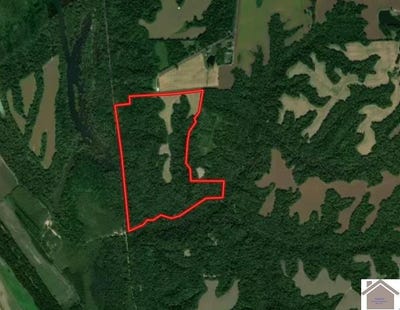 /international/us/sandy-branch-road-bardwell-ky-110105521053/