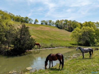 /international/us/305-ingram-road-pulaski-tn-110107227049/