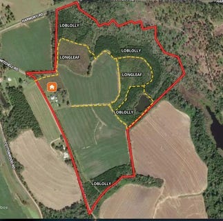 /international/us/1168-mitchell-road-112-acres-meigs-ga-110101683079/