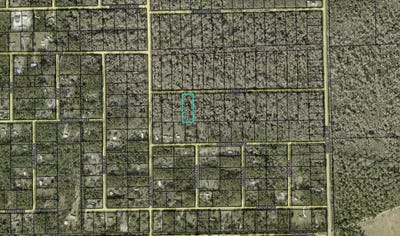 /international/us/3853-apple-avenue-bunnell-fl-110105836571/