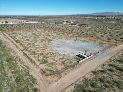 /international/us/0-muskrat-adelanto-ca-110107754484/