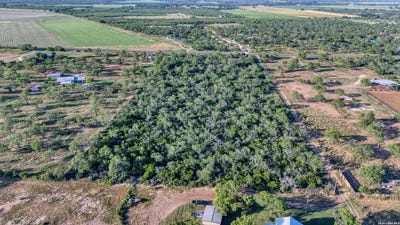 /international/us/1181-state-highway-173-bigfoot-tx-110109184614/