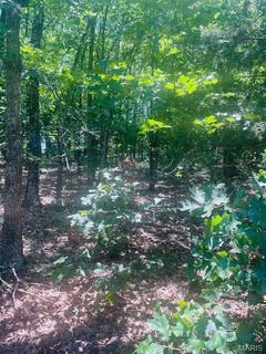 /international/us/0-villa-vista-drive-owensville-mo-110100593467/