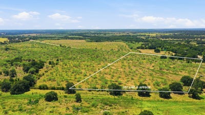 /international/us/260-cr-366-lot-tract-8-gorman-tx-110109885878/