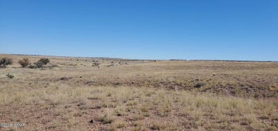 /international/us/23-county-road-6030-concho-az-110108425094/