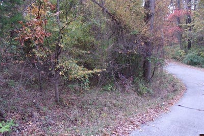 /international/us/flint-drive-lakeview-ar-110081652266/
