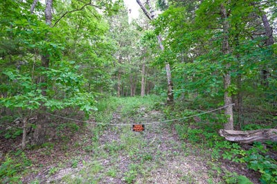 /international/us/000-county-rd-424-squires-mo-110097153888/