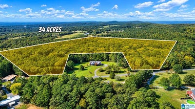/international/us/county-highway-45-lot-0-hayden-al-110120157793/