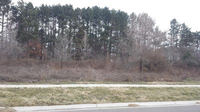 /international/us/2484-ulrich-street-lot-84-stevensville-mi-110107928781/