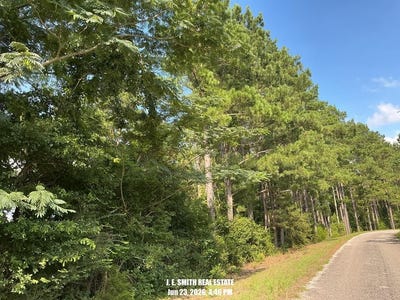 /international/us/62-county-road-3125-rose-hill-ms-110109030609/