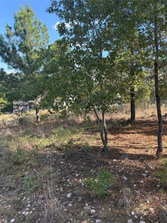 /international/us/oahu-ct-lot-702-bastrop-tx-110120482165/