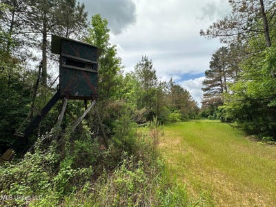 /international/us/highway-440-west-ms-110102310641/