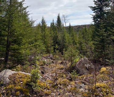 /international/us/morrison-brook-acres-lot-10-oakfield-me-110107630100/