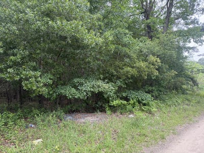 /international/us/0000-larkin-drive-orangeburg-sc-110101048816/?lang=zh-cn