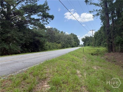 /international/us/toni-branch-road-ellabell-ga-110119578430/