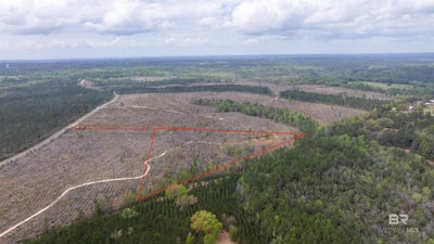 /international/us/mosley-road-lot-cf-lot-16-stapleton-al-110107845390/