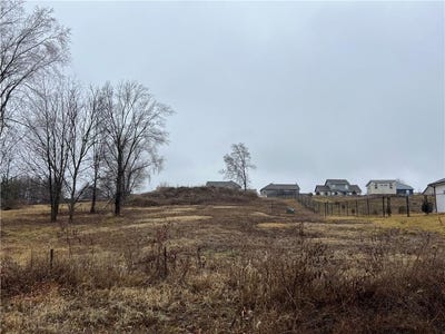 /international/us/703-kellogg-street-pleasant-hill-mo-110097179026/