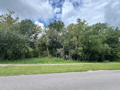 /international/us/1007-waller-street-plant-city-fl-110098689516/