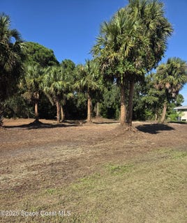 /international/us/2723-jupiter-boulevard-sw-palm-bay-fl-110102359354/