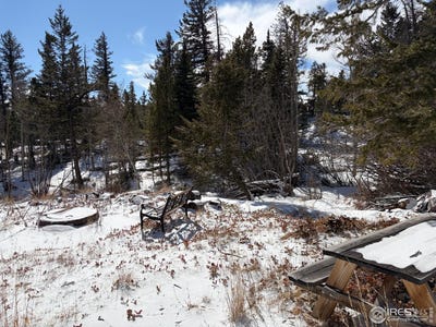 /international/us/171-spokane-ct-red-feather-lakes-co-110105800592/