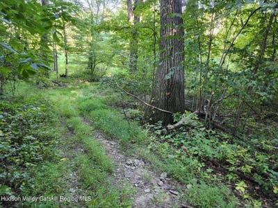 /international/us/188-old-stage-road-saugerties-ny-110094968550/?lang=zh-tw