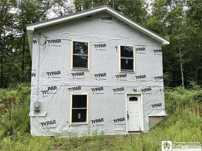/international/us/1611-bunce-road-carroll-ny-110101221413/