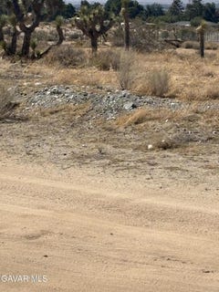/international/us/0-e-ave-w-4-pearblossom-ca-110100254199/