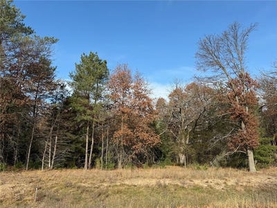 /international/us/l6-blk1-262nd-avenue-nw-orrock-twp-mn-110103525761/