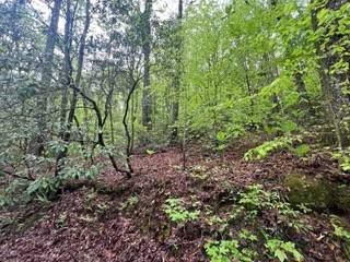 /international/us/lot-139-bear-den-trl-grandview-tn-110099141561/