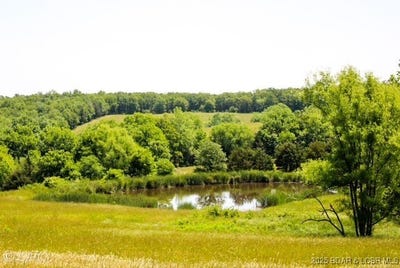 /international/us/tbd-county-side-road-iberia-mo-110101435595/