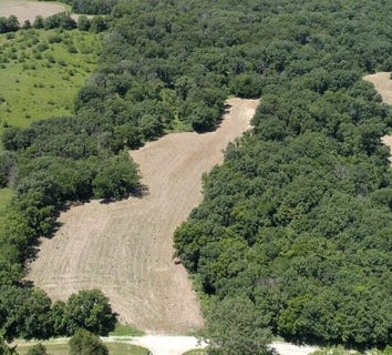 /international/us/19-51ac-county-road-313-fayette-mo-110108750580/
