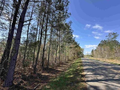 /international/us/snider-rd-lot-a1-frisco-city-al-110106949568/